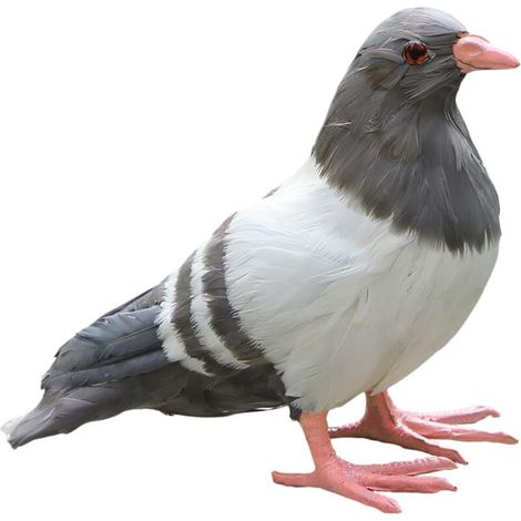 Estatua artificial de paloma, réplica de una paloma, estatua de pájaro para decoración de jardín. (1/4)