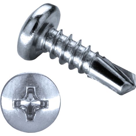 GOEBEL - 1000 x Vis Autoforeuse-Tête Cylindrique Bombée 4,8 x 13 mm Acier Zingué - DIN7504 M - 4110148130 (1/5)