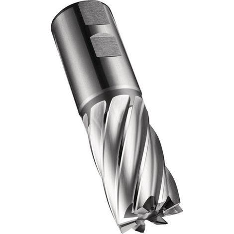 Fresa C247 DIN 844 K D.25mm corte-L.45mm HSS-E-PM en blanco 30 grados Z.5 DO