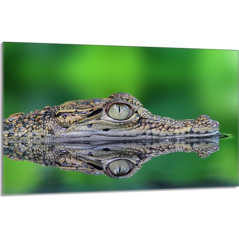 Glasschutzplatte für den Herd 80x52 Krokodil (1/5)