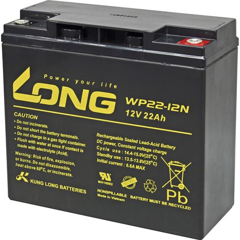 Long WP22-12N AGM-Batterie 22 Ah Schwarz 12 V