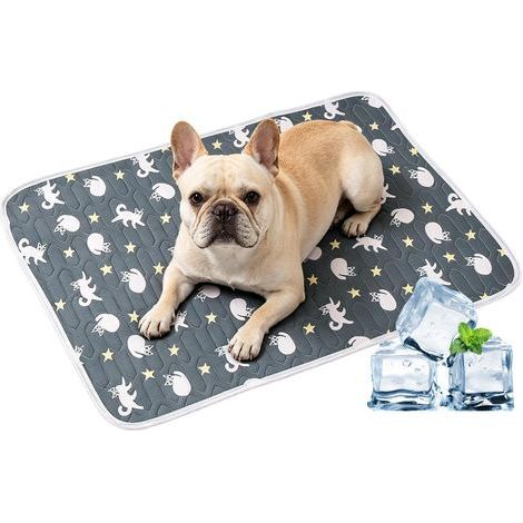 Tapis Rafraîchissant Chat Portable Respirant Lavable Mignon Tapis Rafraîchissant Chien Intérieur Extérieur Extérieur Intérieur Maison Cage Chenil Sol Chiot Petit (1/5)