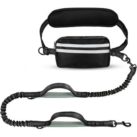 Laisse rétractable pour chien avec poignée ergonomique rembourrée, coutures réfléchissantes et verrouillage de sécurité, longueur,r (1/5)