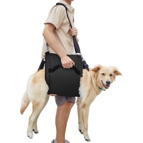 Imbracatura per cani, zaino di emergenza per animali domestici e zaino per cani, supporto per zampe per cani anziani, imbracatura di sollevamento per la riabilitazione dei cani, attrezzatura per cani (1/5)