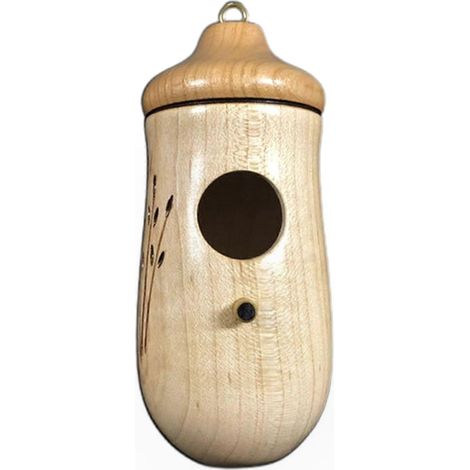 Niche à oiseaux avec crochet métallique, mangeoire pour colibris et perchoir, maison suspendue pour terrasse et tronc d'arbre, dispositif d'alimentation élégant pour jardin (1/4)