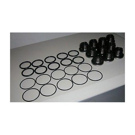 KIT VALVOLE POMPE IRRIGAZIONE IRRORAZIONE ANNOVI REVERBERI 1105 1245 1265 (1/2)