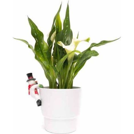 Full Colour Snow Man Pot Buddy - L10.5 x W7.8 x H5.4 cm