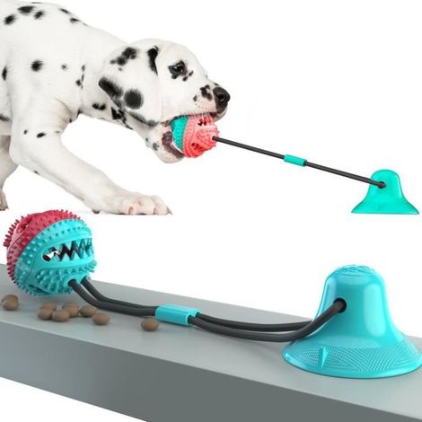 Jouet pour Chien - Molar Bite - Ventouse - TPR Naturel - Corde Robuste - Indestructible (1/4)