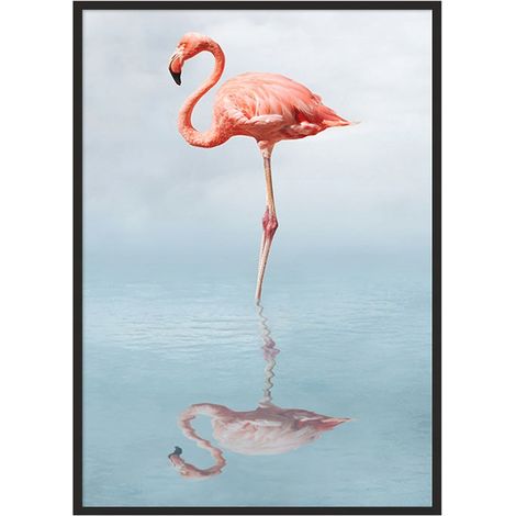 Bild Poster im Rahmen 43x33 cm Flamingo P687 (1/4)