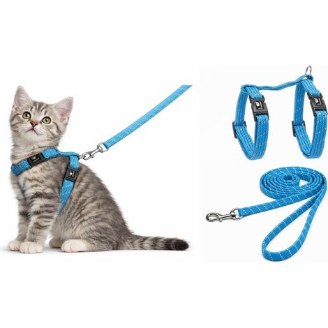 Harnais pour Chat - Chaton Bleu - 15-22cm - 20-30cm - Laisse 120cm - Nylon réglable - réfléchissant - avec Mousqueton (1/5)