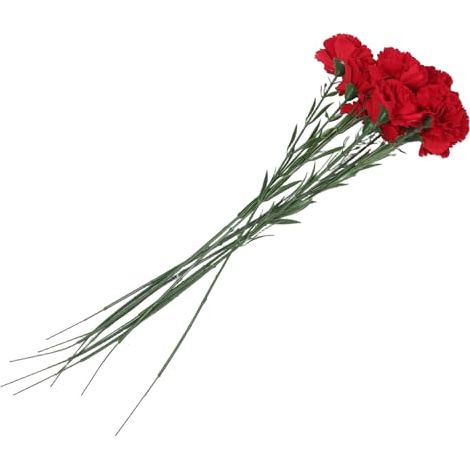 10 Pièces Compositions de Fleurs Artificielles Réalistes en Tissu de Soie Rouge, Œillets Décoratifs sans Arrosage, Entretien Facile pour Décoration Printanière et Centre de Table (1/5)