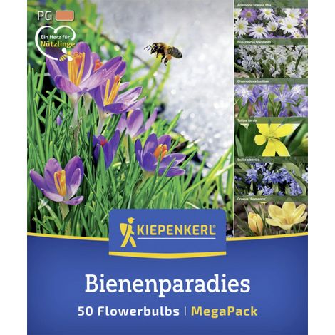 Kiepenkerl Herbstblumenzwiebelmischung Mega-Pack Bienenparadies 50 Stück (1/2)