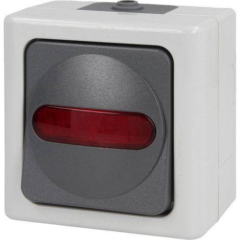 Interrupteur de contrôle BLUE ELECTRIC®