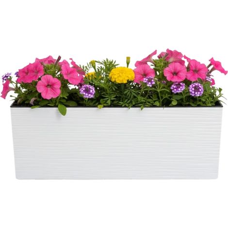 Maceta Bouquet Riflo blanca de 56 x 19 cm