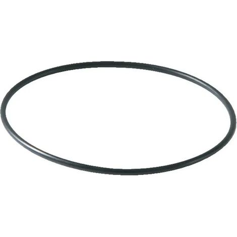 SYR Ersatzteil O-Ring zur Filtertasse für Drufi max, 2315.00.941