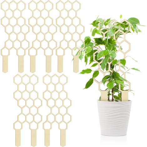 Set di 5 strutture rampicanti - piante da interno - altezza 30 cm - piccolo scaffale da giardino in legno - piante in vaso - nido d'ape - scaffale sagomato - scaffale iniziale - 30 cm (1/3)