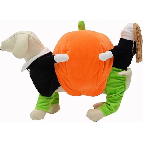 Déguisement amusant pour animaux de compagnie : chiot citrouille, chien ou chat portant une citrouille, taille M. Idéal pour Halloween. (1/4)