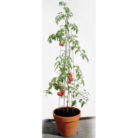 Bellissa Tomatenturm 120 cm hoch Spalier Rankhilfe Rankgitter