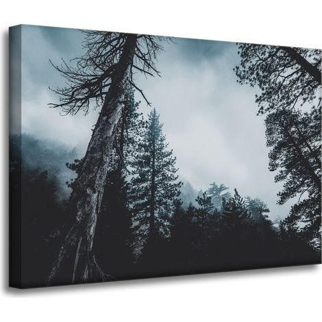 Leinwanddruck Natur Baumkronen 70x50 cm