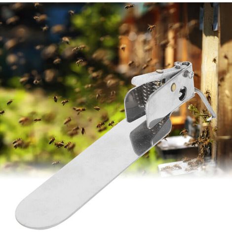 Outil de greffage pour l'apiculture, aiguille de transfert de larves de reines à pointe unique, DUBUNS - AquaForge (1/5)