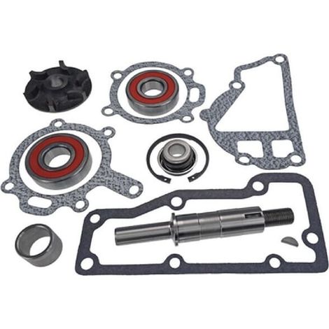 Kit de réparation de pompe à eau VAPORMATIC VPE2072