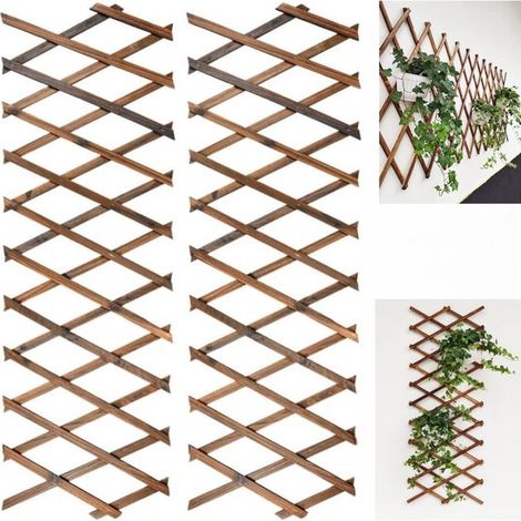Lot de 2 treillis extensibles en bois massif pour plantes grimpantes, clôture et décoration de jardin, design rétractable, pour intérieur et extérieur, 44 x 23 cm à 29 x 200 cm (1/5)