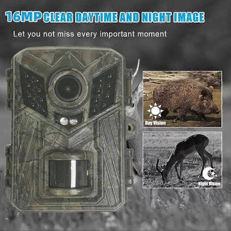 Caméra de chasse HD 1080p étanche avec vision nocturne infrarouge, caméra de sécurité pour la faune sauvage, pièges à animaux sauvages extérieurs (1/5)