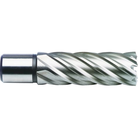 Projahn Kernbohrer HSS 20,0 mm Schnitttiefe 30,0 mm (1/4)