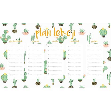 Piano di lezione magnetico Cactus minimalisti 45x26 cm