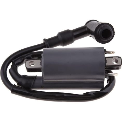 Bobine d'Allumage pour Moteur Buyang 260cc / 300cc - Compatible avec Modèles D300 et G300 - Haute Performance-x (1/2)