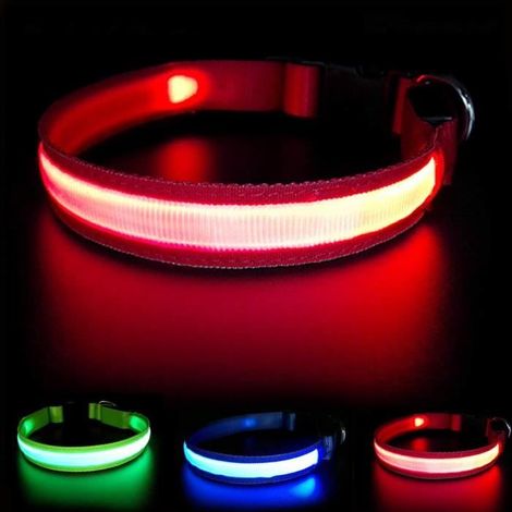 Colliers Pour Chiens - Masbrill Collier Sécurité Chien Rechargeable Super Bright Dc Excellente Visibilité Étanche (l(60x2.5c (1/4)