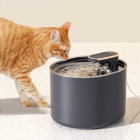3L Edelstahlbrunnen, Automatischer Katzenbrunnen Hundebrunnen mit intelligenter Pumpe für Katze, Hund, Mehrere Haustiere (1/2)