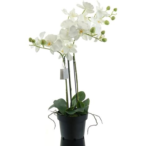 GASPER Schmetterlingsorchidee - Phalaenopsis weiß 62 cm - Kunstpflanzen (1/2)
