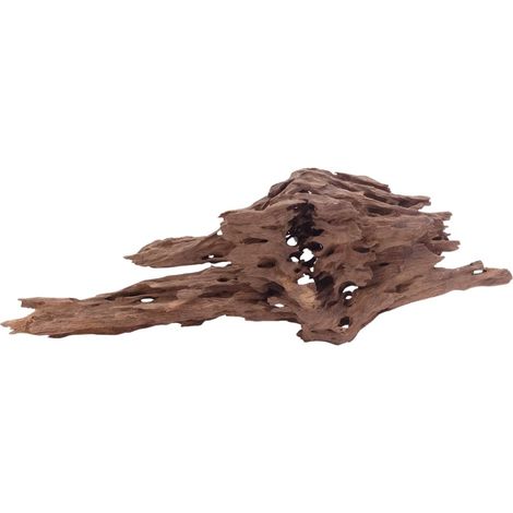 L Honey Comb Wurzel Nr.5140 Holz Deko Aquascaping