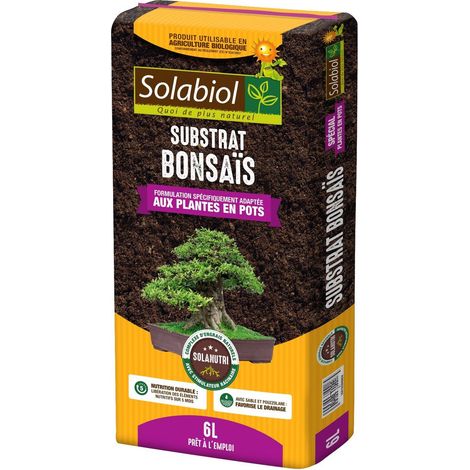 Terreau Bonsaïs, 6 liters L, 6L, 21 x 50 x 5 cm (1/5)