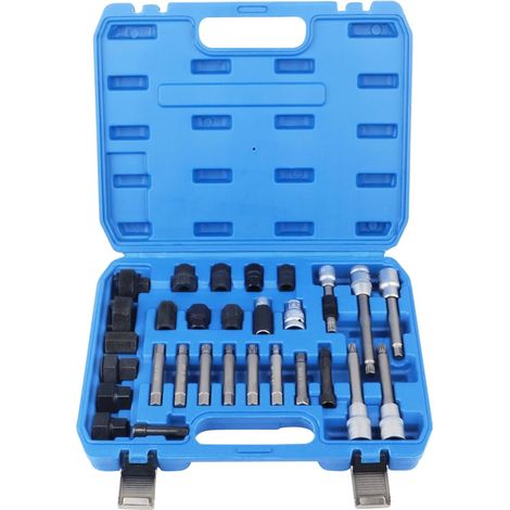 Kit di sostituzione della puleggia a ruota libera dell'alternatore da 30 pezzi  Estrattore per puleggia a ruota libera da 1/2", chiave a bussola, chiave a bussola di ricambio per vari veicoli (1/5)