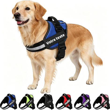Pettorina antistrappo personalizzabile per cani con nome e numero – Gilet robusto e riflettente, design anti-soffocamento per prevenire lesioni al collo, 6 taglie, 6 colori (1/5)
