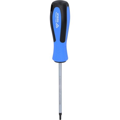 BRILLIANT TOOLS  destornillador TORX  T15 x  100 mm  - BT031044 (1/4)
