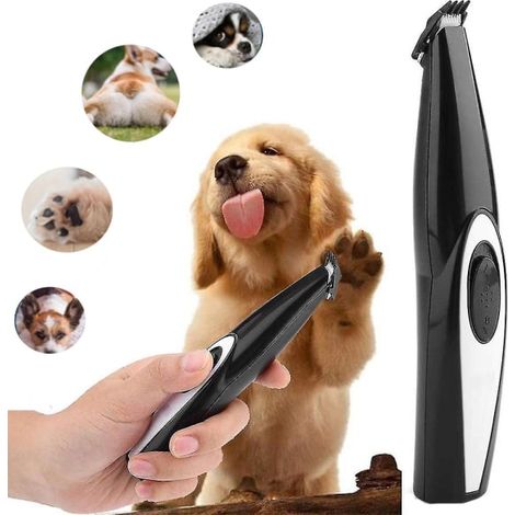 Coupe-ongles électrique pour chiens, pour un entretien progressif des griffes à domicile.-AquaForge (1/5)