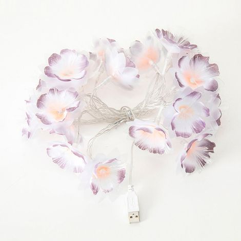 Guirlande Lumineuse - Forme Fleur - 300 cm - 20 Ampoules LED - Tension ≤ 36 V - Éclairage Chaud - Sans Flicker - Usage Intérieur Extérieur (1/5)