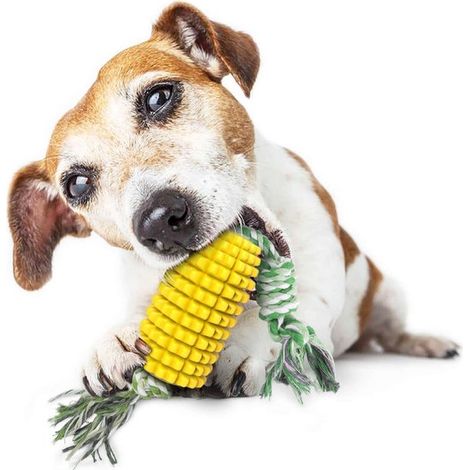 Unzerstörbare, robuste, langlebige und quietschende Kauspielzeuge für Hunde, die gerne kauen – ideal für Welpen kleiner, mittlerer und großer Hunde.