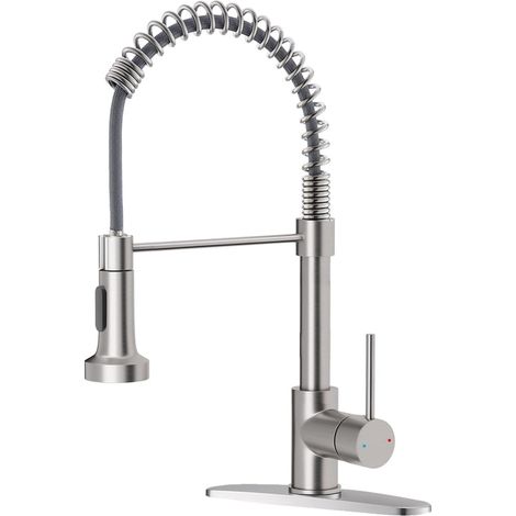 Robinet Cuisine Nickel Brossé avec Douchette Extractible Ressort Flexible Mitigeur Évier Inox Design Professionnel (1/5)