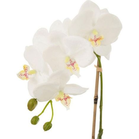 Fleur Artificielle Déco "Orchidée en Terre" 40cm Blanc (1/2)