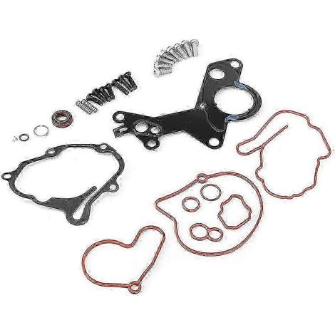Kit de réparation de pompe à vide pour moteur SEAT TDI 038145209Q 2000-2010 (1/5)
