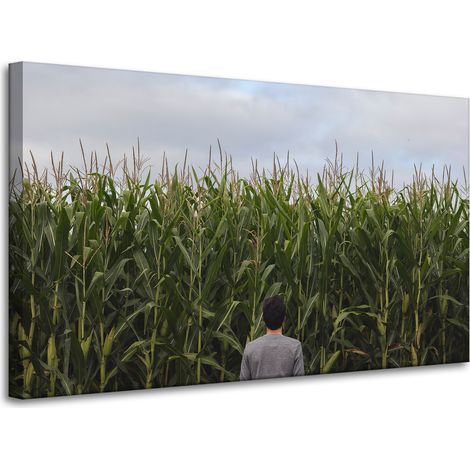 Leinwanddruck Naturmotiv Maisfeld 100x60 cm