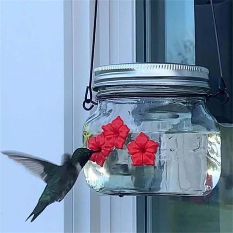 Bol Alimentaire Pour Colibris - Réservoir En Verre Transparent - 3 Orifices En Forme De Fleur - Suspension Extérieure - 500 ml (1/5)
