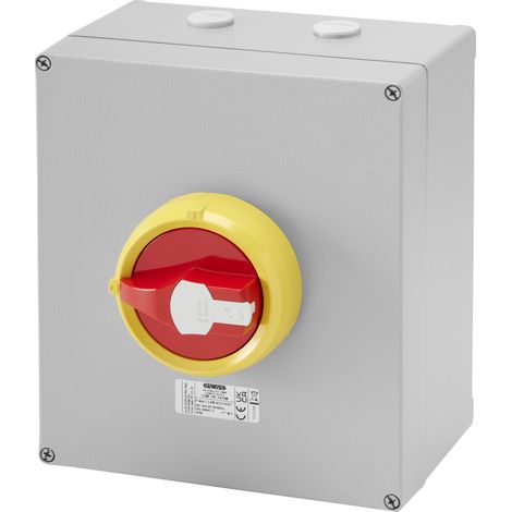 INTER-SECTIONNEUR MP MÉTAL 25A 6P URGENCE GEWISS GW70742M