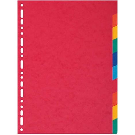 Ordnerregister DIN A4 blanko Colorspankarton mehrfarbig 10 Registerblätter (1/5)