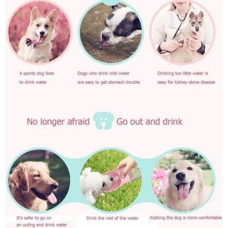 Bouteille pour Chien，Gourde Pour Chien, Portable Voyage Bouteille Chien et Chat Pet Travel Water Drink Bouteille-350ML (1/4)