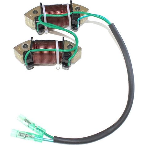 Bobine d'alternateur pour moteur de bateau 3AA-06023-0 3AA060230M (1/5)